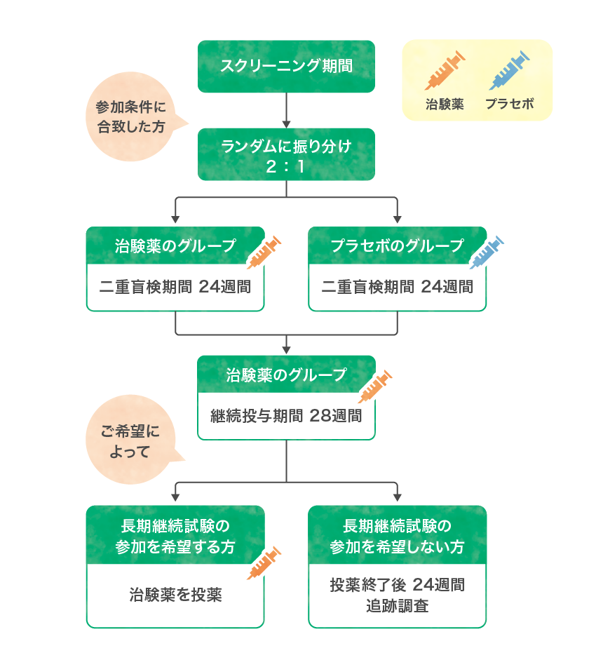 治験のフローチャート