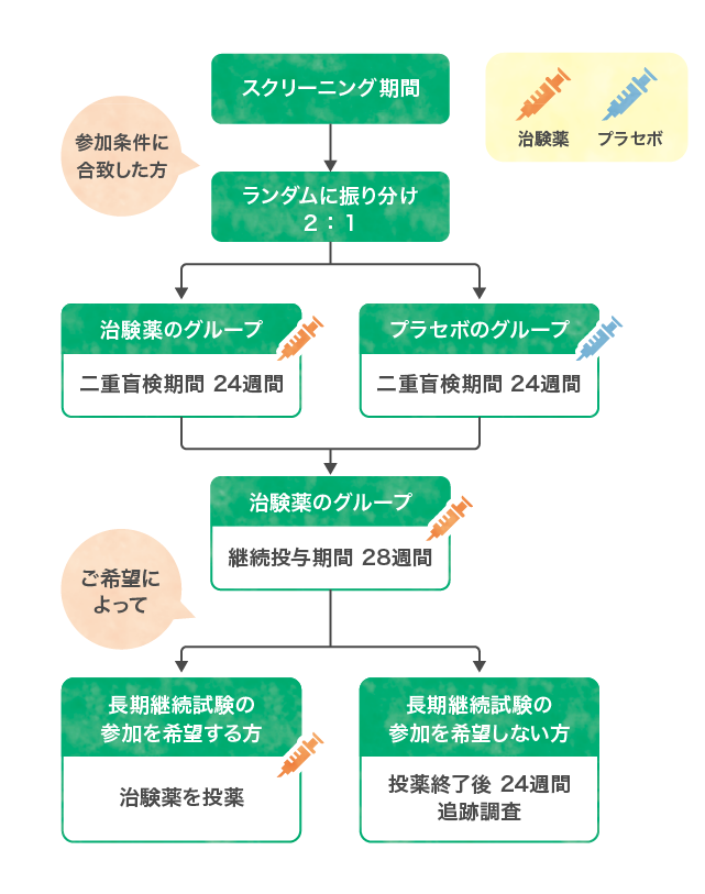 治験のフローチャート