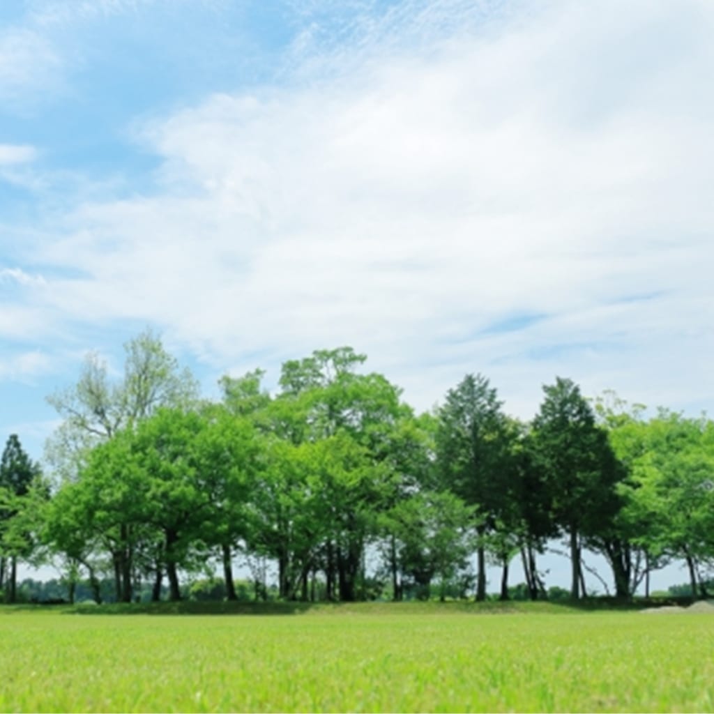 多発性嚢胞腎を対象にRAR作動薬タミバロテンを治療薬候補として前期第二相臨床試験を開始 RareS.(レアズ)